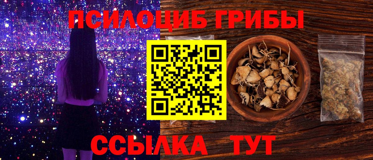 Псилоцибиновые грибы MAGIC MUSHROOMS  Вход с VPN  Уссурийск 